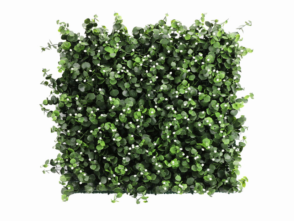 Dischidia Weiß Kunsthecke Dischidia Weiß Kunsthecke