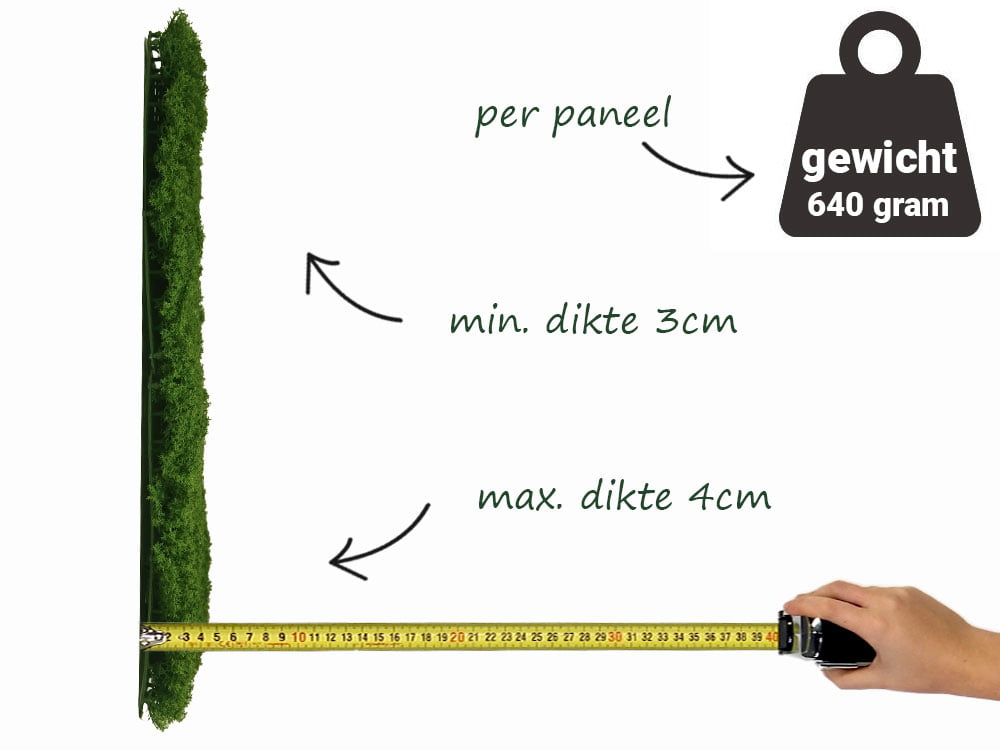 Islaendisch Moos dunkelgruen Mooswand seite Islaendisch Moos dunkelgruen Mooswand seite