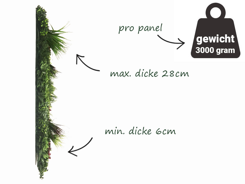 Red magic Jungle system Pflanzenwand seite Red magic Jungle system Pflanzenwand seite