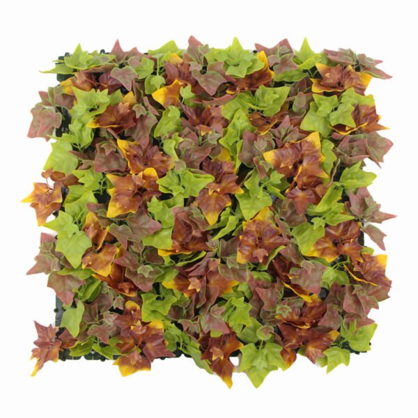 Hedera Efeu Herbstfarben kunsthecke 1