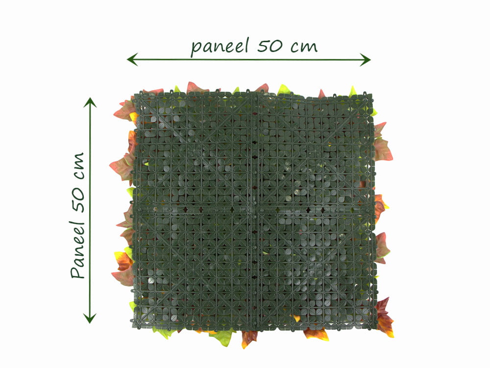 Hedera Efeu Herbstfarben kunsthecke hinteren Hedera Efeu Herbstfarben kunsthecke hinteren