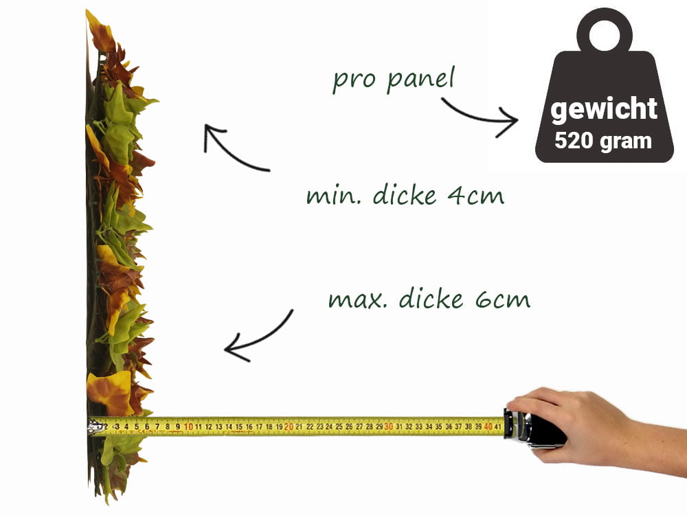 Hedera Efeu Herbstfarben kunsthecke seite Hedera Efeu Herbstfarben kunsthecke seite