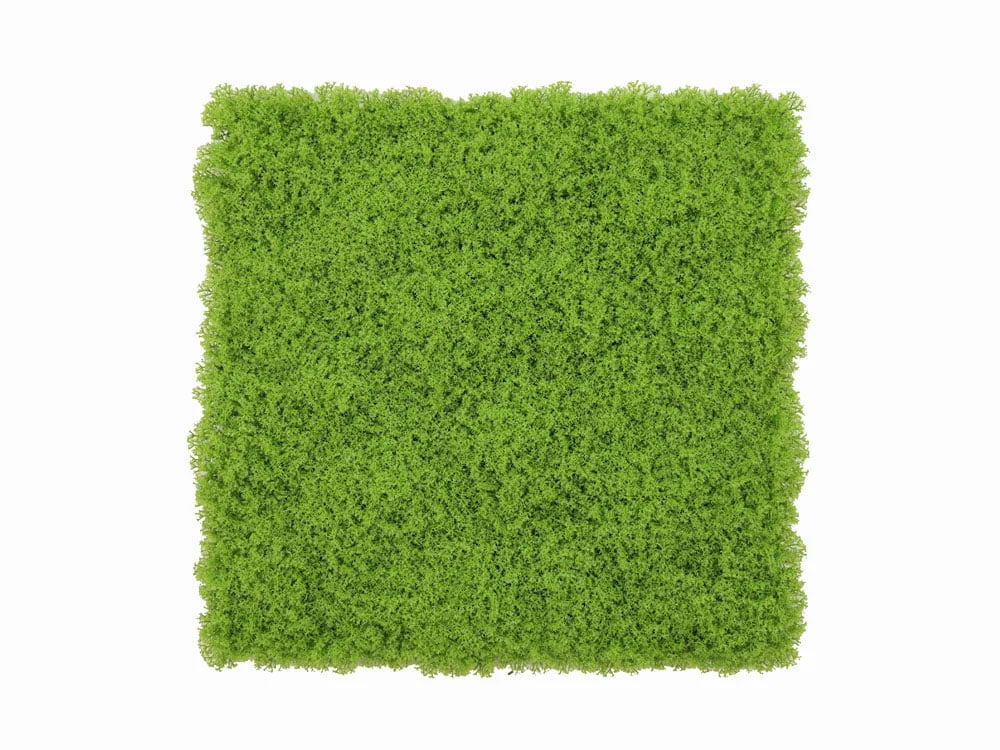 Isländisch Moos zartgrün Mooswand Isländisch Moos zartgrün Mooswand