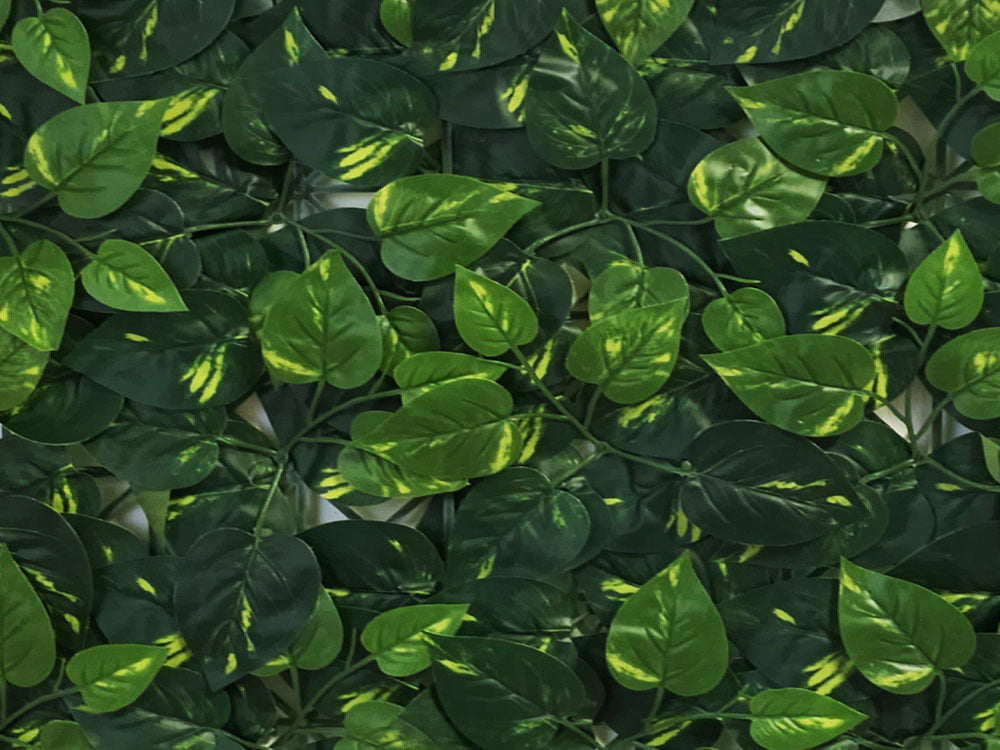 Aureum Budget kunsthecke detail Aureum Budget kunsthecke detail