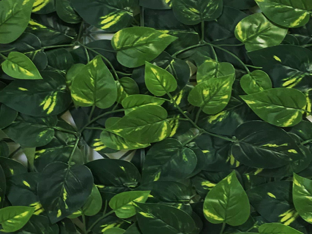 Aureum Budget kunsthecke detail Aureum Budget kunsthecke detail