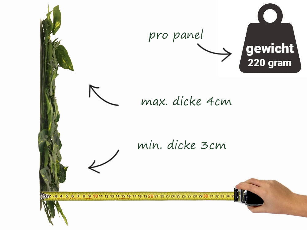 Aureum Budget kunsthecke seite Aureum Budget kunsthecke seite