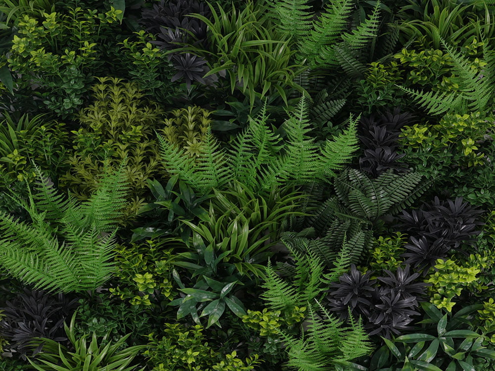 Farn Fantasie Pflanzenwand detail 2 Farn Fantasie Pflanzenwand detail 2