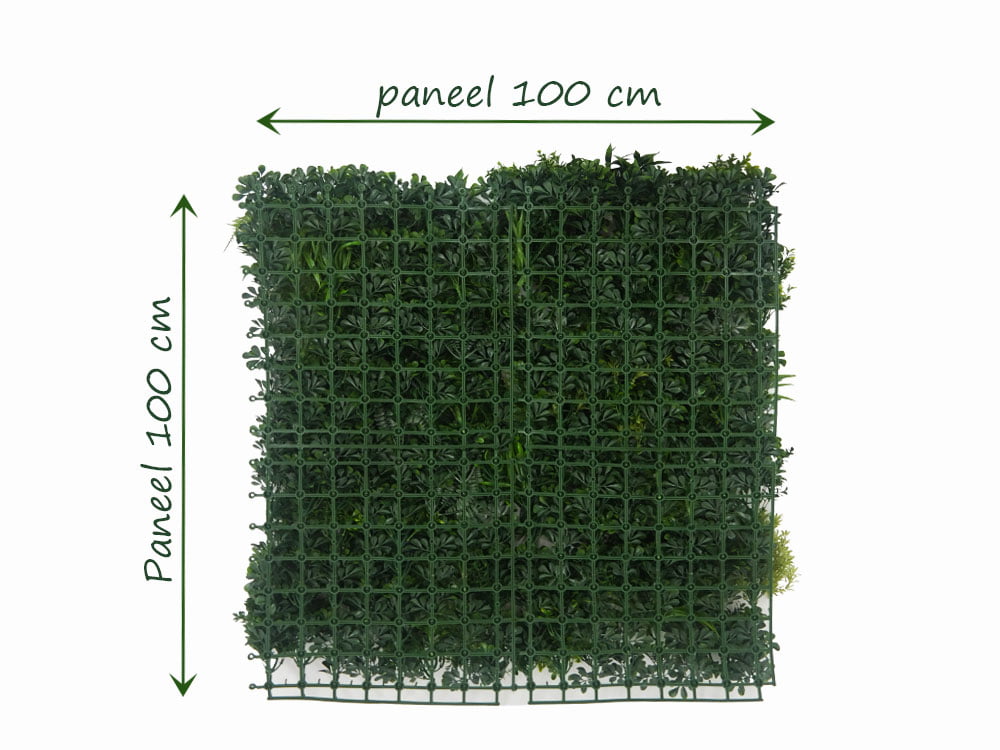 Farn Fantasie Pflanzenwand hinteren Farn Fantasie Pflanzenwand hinteren