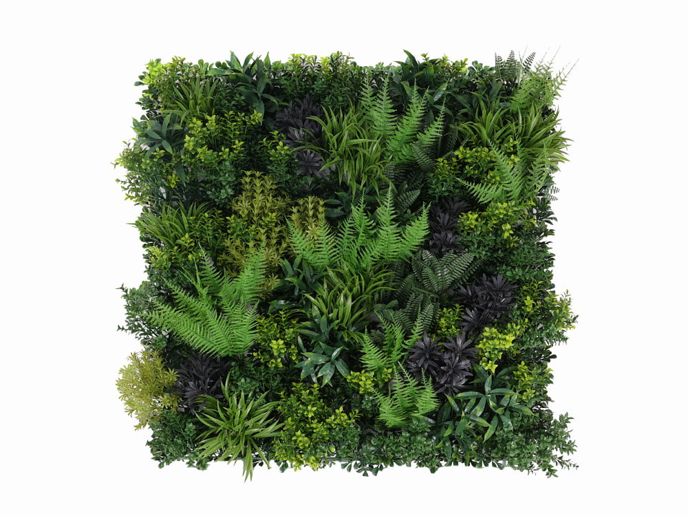 Farn Fantasie Pflanzenwand Farn Fantasie Pflanzenwand