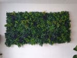 Green Fantasie Pflanzenwand anwendung
