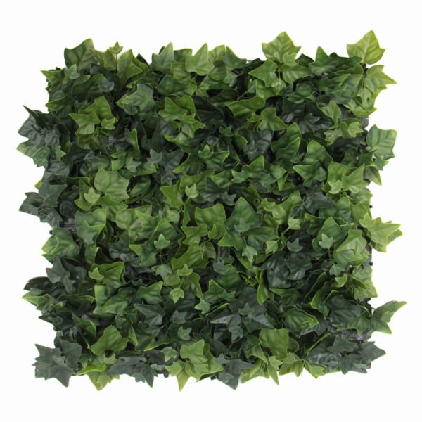 Hedera Efeu kunsthecke naturgetreu
