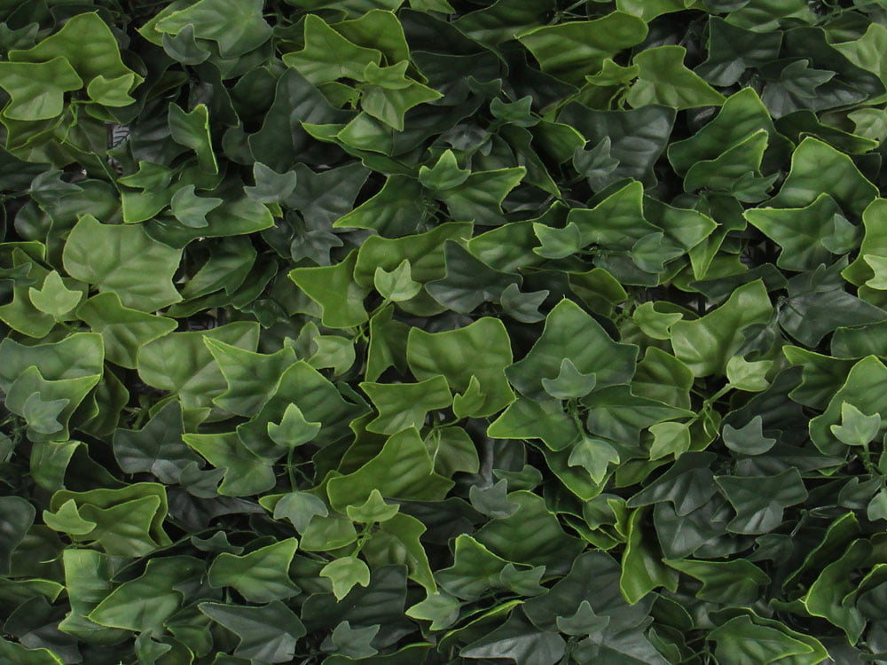 Hedera Efeu kunsthecke naturgetreu detail 1 Hedera Efeu kunsthecke naturgetreu detail 1