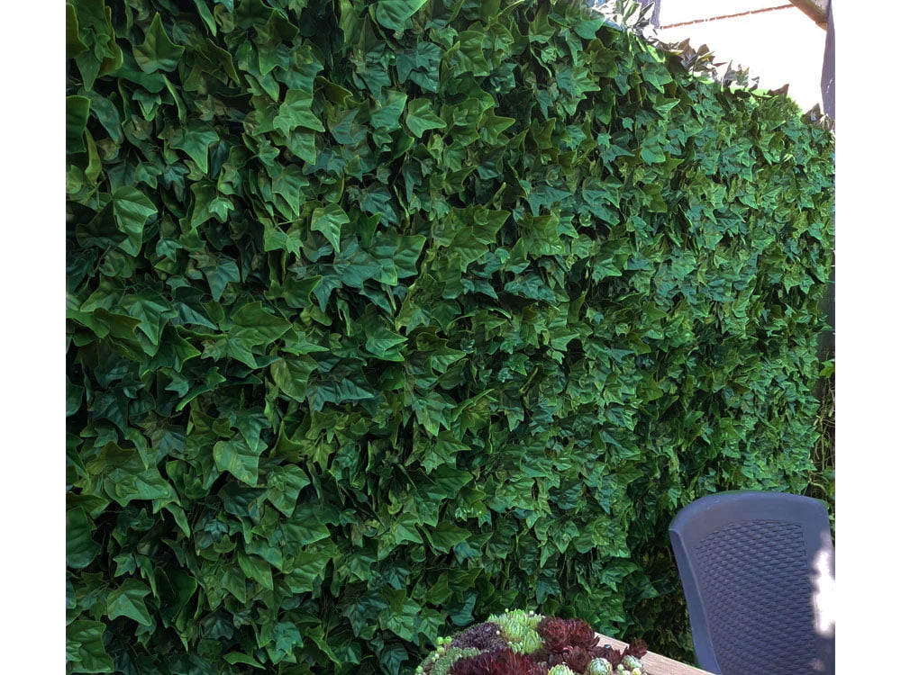 Hedera Efeu kunsthecke naturgetreu projekt foto Hedera Efeu kunsthecke naturgetreu projekt foto