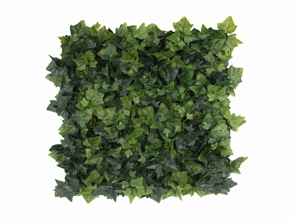 Hedera Efeu kunsthecke naturgetreu Hedera Efeu kunsthecke naturgetreu