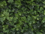 Hedera Efeu naturgetreu feuerhemmend detail 1