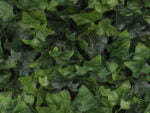 Hedera Efeu naturgetreu feuerhemmend detail 2