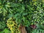 Lilium gelb Pflanzenwand detail 1