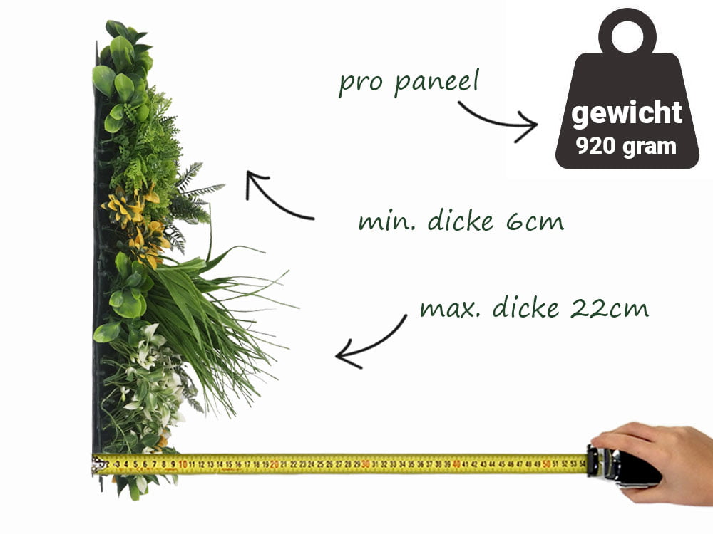 Orangenbusch Kunsthecke seite Orangenbusch Kunsthecke seite