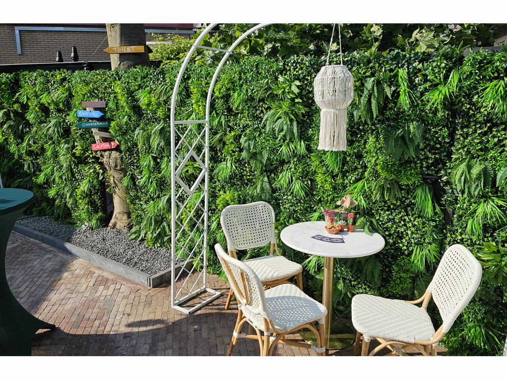 Ruscus Farn Pflanzenwand projekt foto garten Ruscus Farn Pflanzenwand projekt foto garten