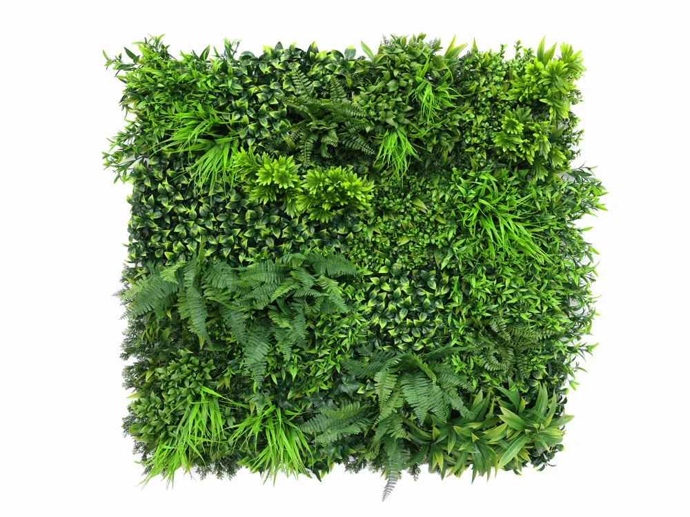 Ruscus Farn Pflanzenwand Ruscus Farn Pflanzenwand