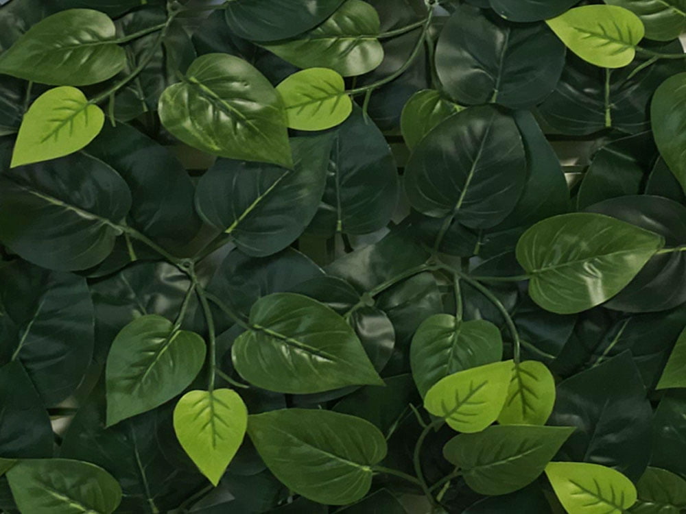 Vulgaris Budget kunsthecke detail 2 Vulgaris Budget kunsthecke detail 2