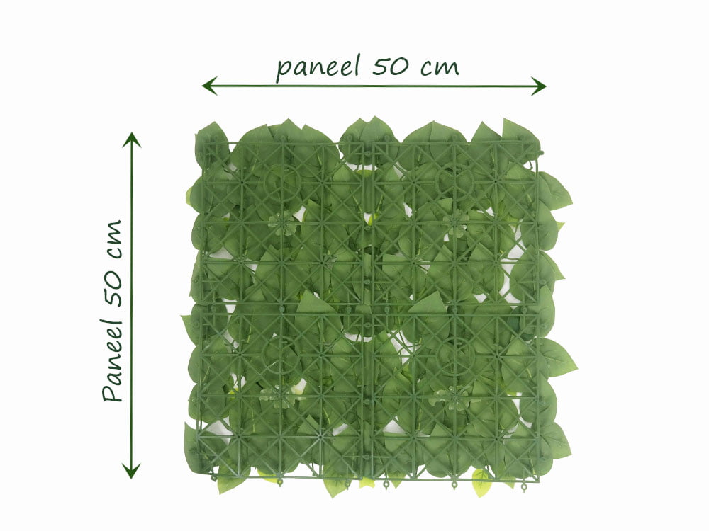Vulgaris Budget kunsthecke hinteren Vulgaris Budget kunsthecke hinteren
