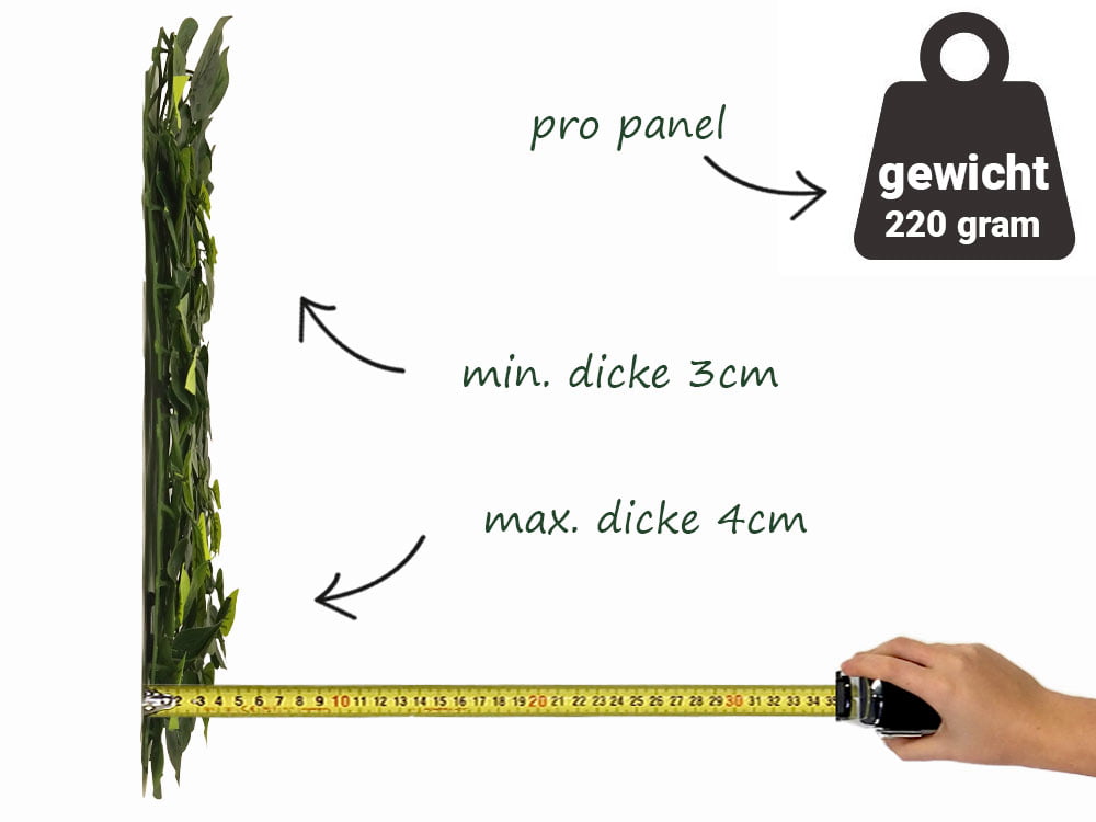 Vulgaris Budget kunsthecke seite Vulgaris Budget kunsthecke seite