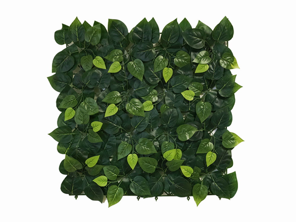 Vulgaris Budget kunsthecke Vulgaris Budget kunsthecke