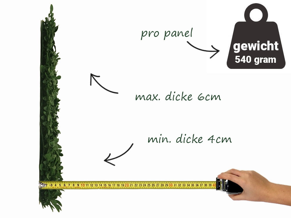 Wild lime Kunsthecke seite Wild lime Kunsthecke seite