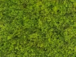 Moos fruehlingsgruen Kunstmoos detail