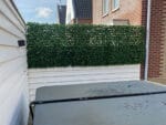 Harmonica Hecke Lorbeer Anwendung