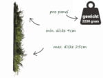 Asplenium farn mischung kunsthecke seite