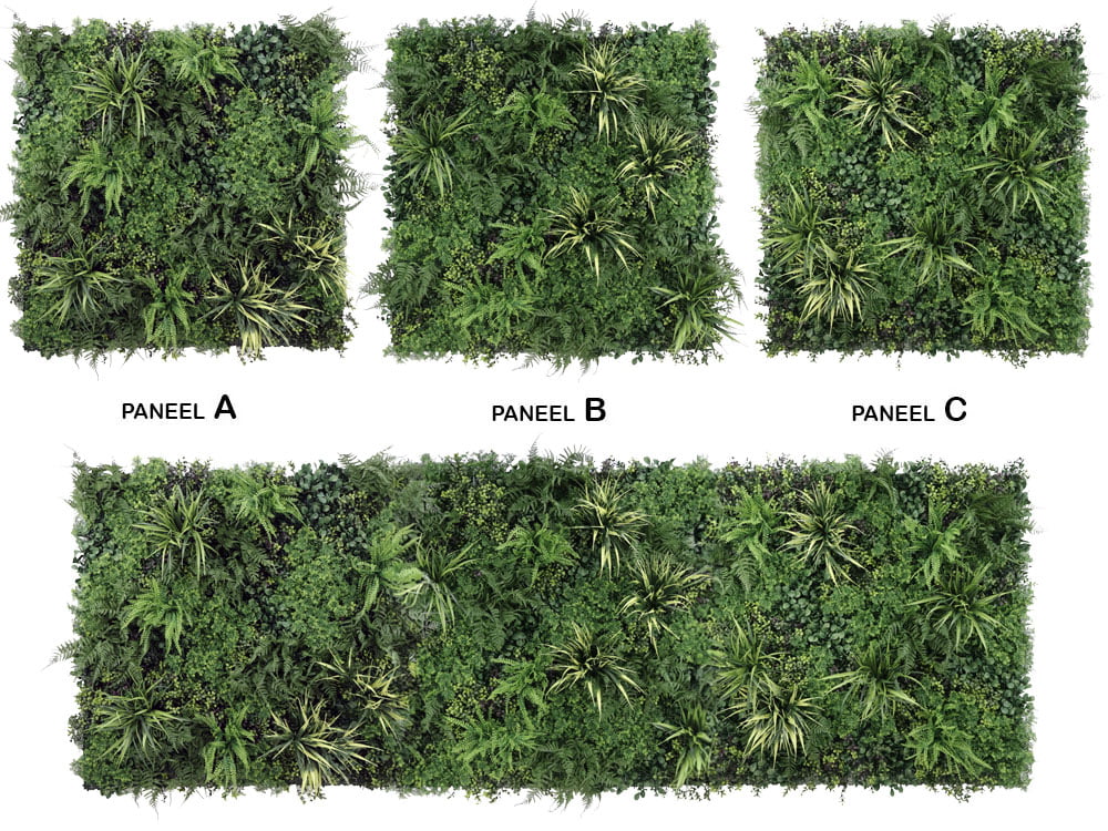 Mauerraute melange kunsthecke kein muster Mauerraute melange kunsthecke kein muster