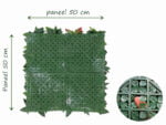 Photinia Glanzmispel kunsthecke hinteren