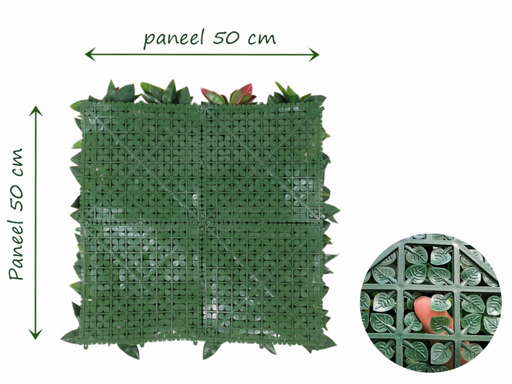 Photinia Glanzmispel kunsthecke hinteren Photinia Glanzmispel kunsthecke hinteren