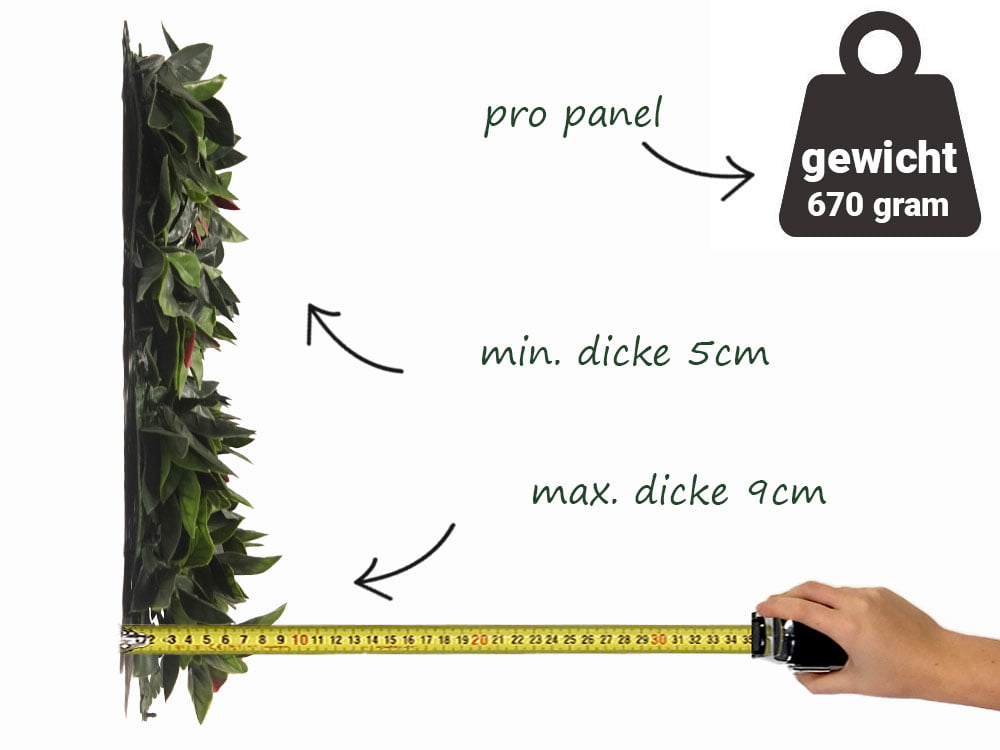 Photinia Glanzmispel kunsthecke seite Photinia Glanzmispel kunsthecke seite