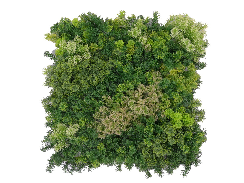 Waldmoos Mischgrün Mooswand Waldmoos Mischgrün Mooswand - 50x50cm - Blickdichte rückseite - Hohe dichte - Kein muster – Bild 1