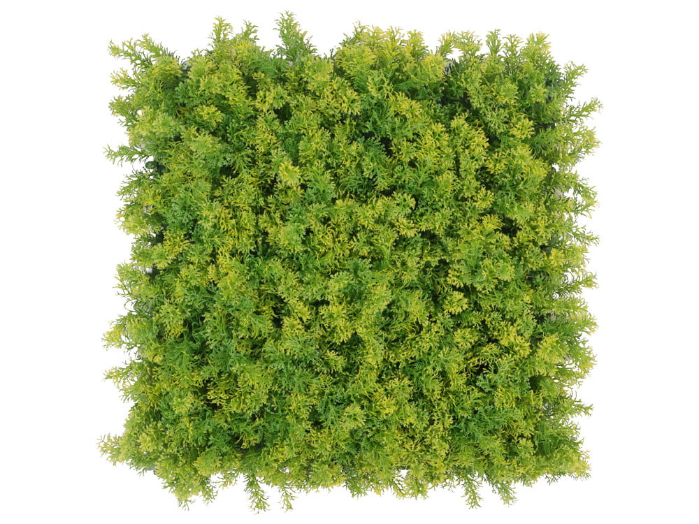 Waldmoos gelb Mooswand Waldmoos gelb Mooswand