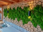 Bolmoos Schaum grün braun anwendung