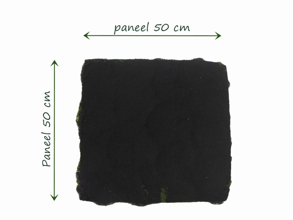 Bolmoos hellgrün Schaum Rückseite Bolmoos hellgrün Schaum Rückseite