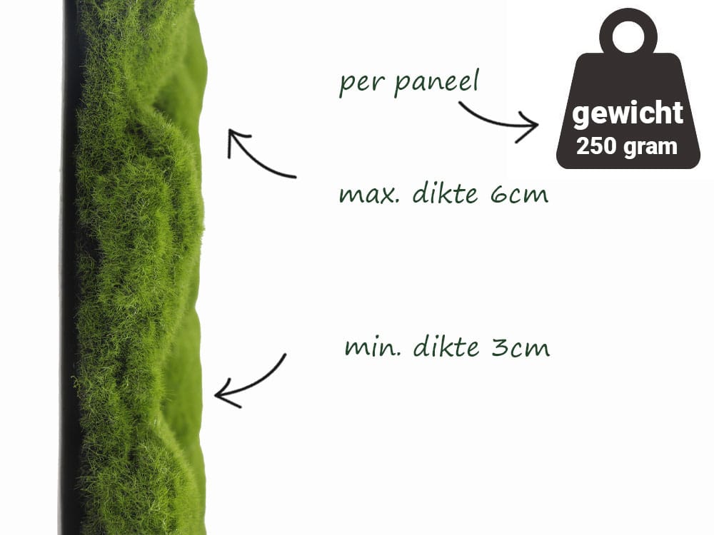 Seitenansicht und Maße des hellgrünen Bolmoos-Schaum Seitenansicht und Maße des hellgrünen Bolmoos-Schaum