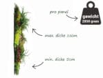 Heidekraut Moos Pflanzenwand Information