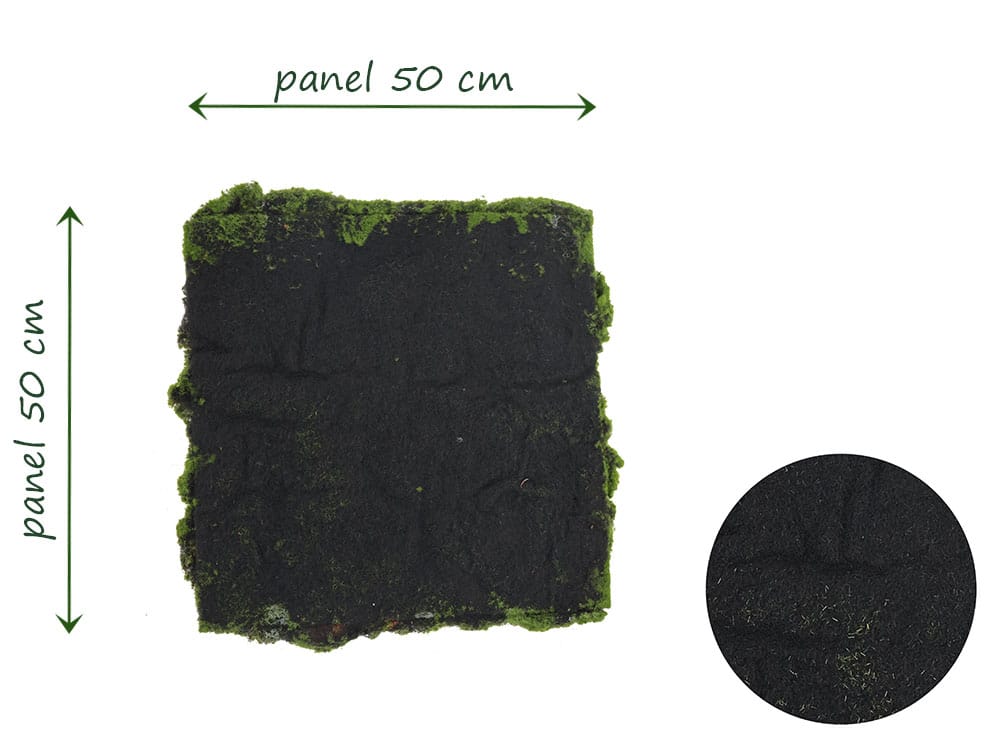 Bolmoos Rindenstruktur Ruckseite Bolmoos Rindenstruktur Ruckseite