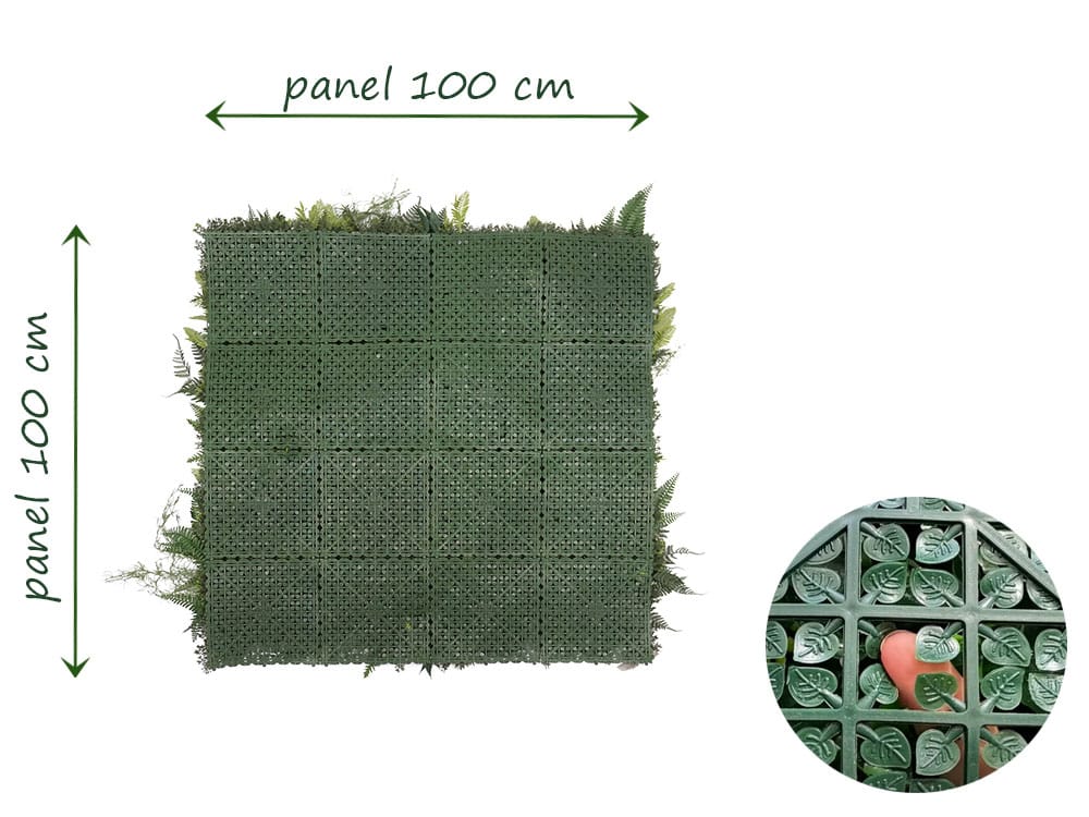 Krausfarn Botanica Pflanzenwand dichte Ruckseite Krausfarn Botanica Pflanzenwand dichte Ruckseite