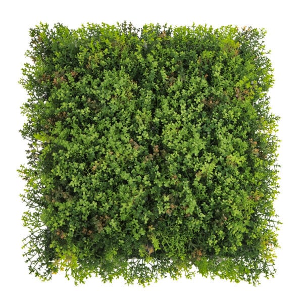 Sedum Dachbegrünung Kunsthecke