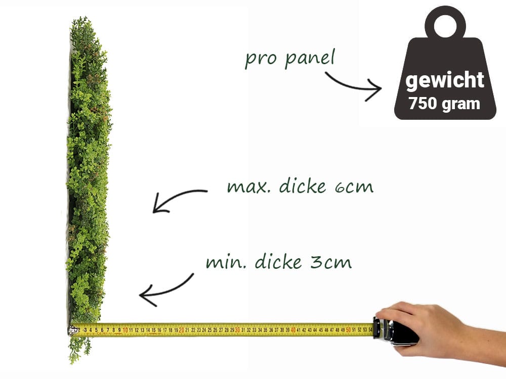 Sedum Dachbegrünung Kunsthecke information Sedum Dachbegrünung Kunsthecke information