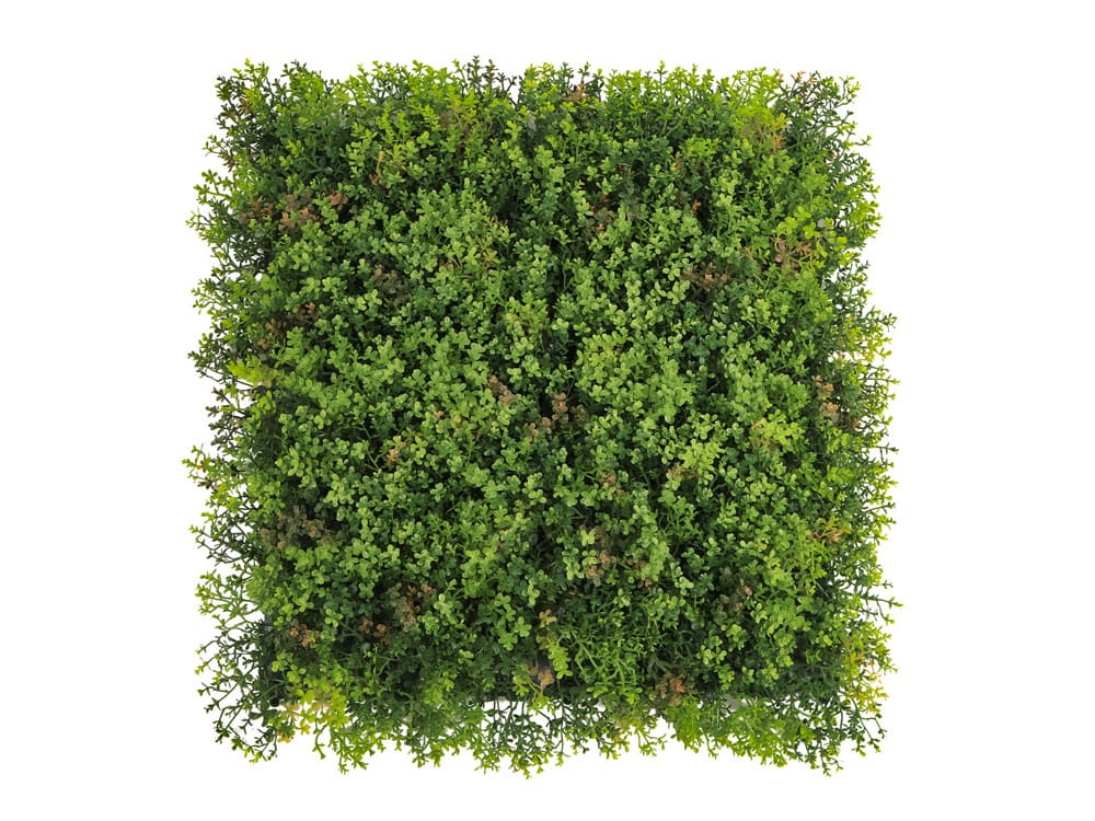 Sedum Dachbegrünung Kunsthecke Sedum Dachbegrünung Kunsthecke