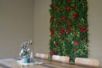 Stechpalme Weissmoos Weihnachtsstern Deko Pflanzenwand bewerbung