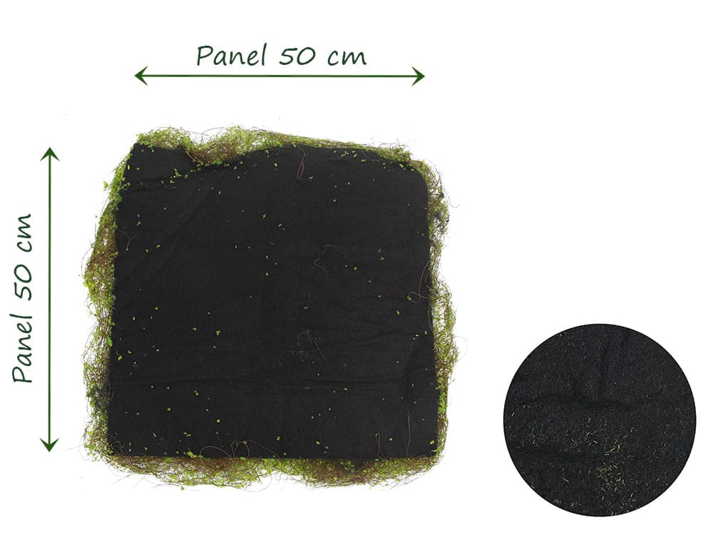 Feinmoos Schaum Mooswand dichte Ruckseite Feinmoos Schaum Mooswand dichte Ruckseite