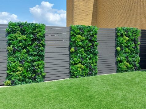 Hinterhof mit kuenstlichen Hecken Hinterhof mit kuenstlichen Hecken